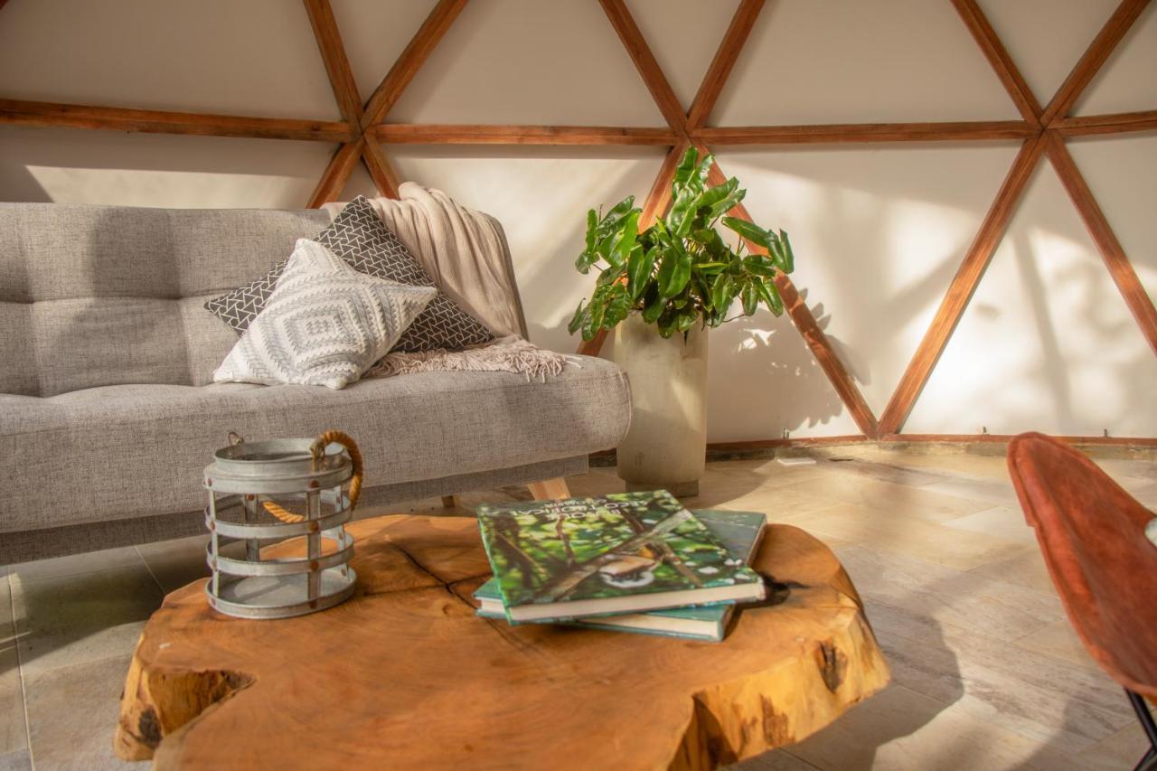 Lodge Terramia Estate