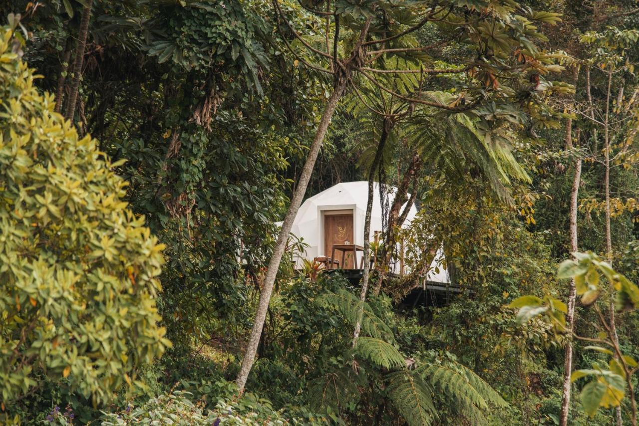 Terramia Estate Lodge *